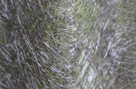 Torwoodlee Mains fibreglass roof work